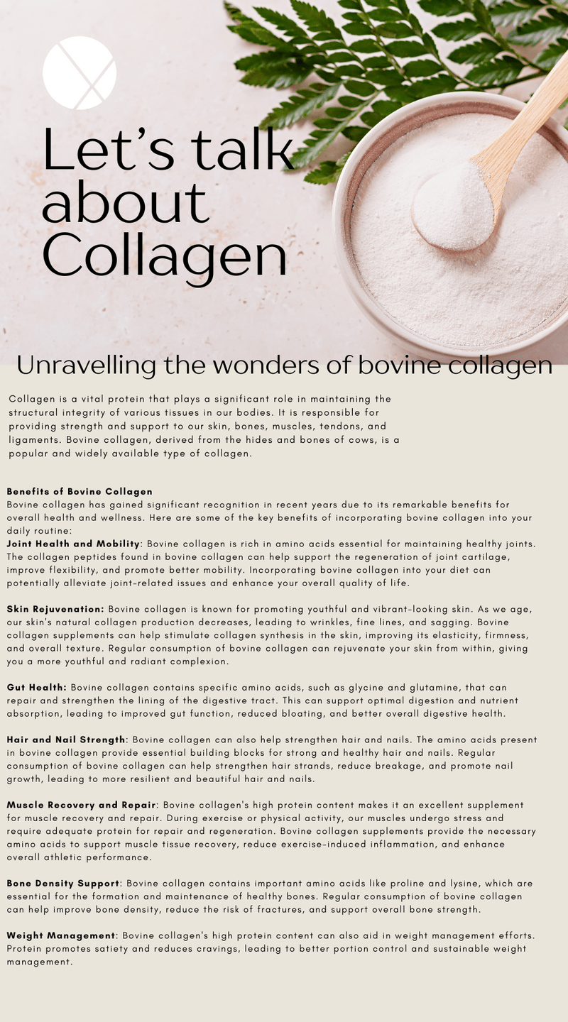 Let's talk about Collagen - Xenca