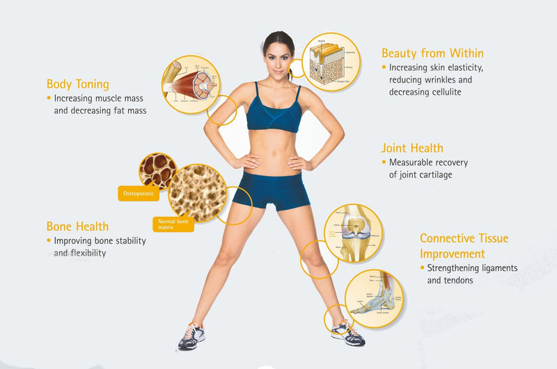 The Benefits of Collagen - Xenca