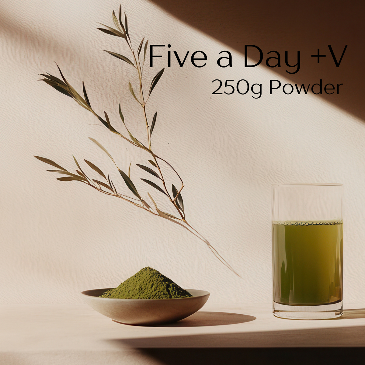 Five a Day +V 250g Powder