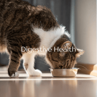 Collagen for Dogs & Cats - 200 Day Supply - Xenca