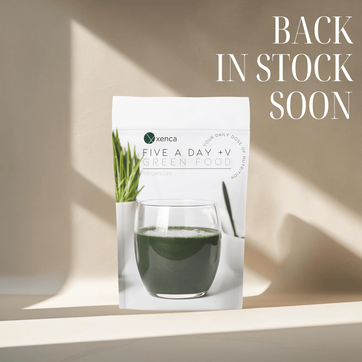 Five a Day +V - 500 Capsules - Xenca