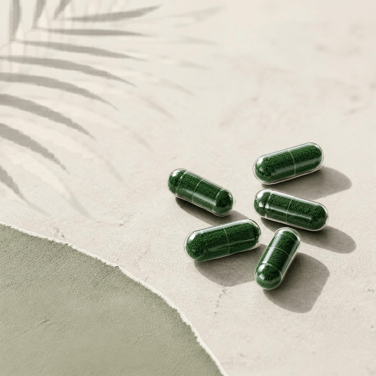 Five a Day +V - 500 Capsules - Xenca