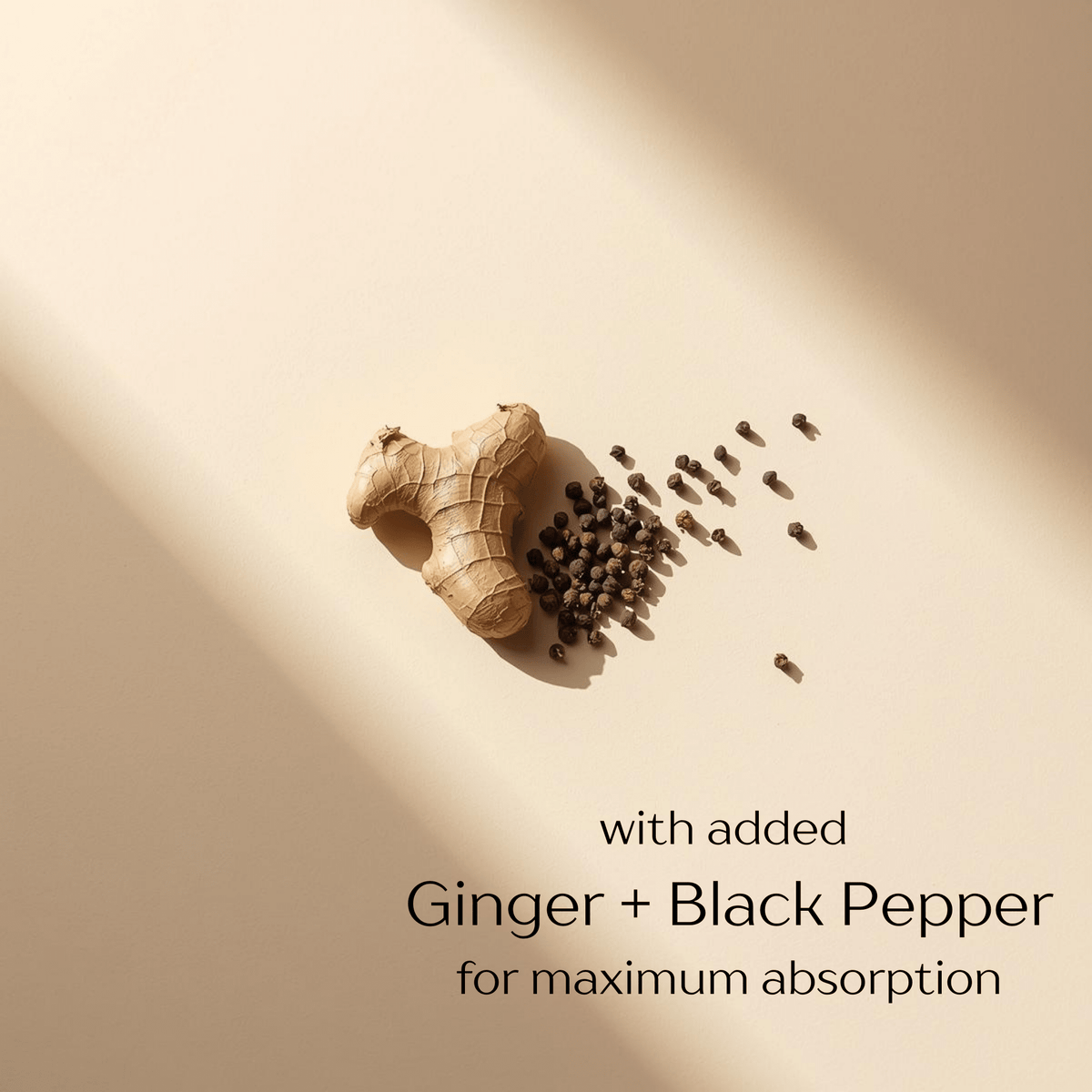 Organic Turmeric with Ginger + Black Pepper - 120 Capsules - Xenca