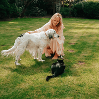 Collagen for Dogs & Cats