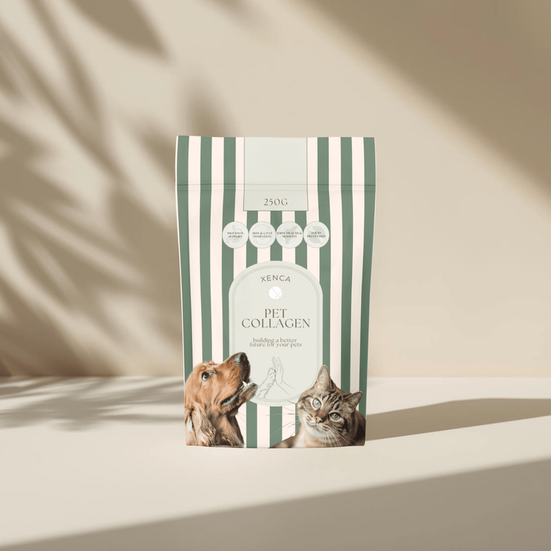 Xenca pet collagen powder for dogs and cats 250g joint and coat support